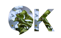 Empresas de Marketing Olfativo